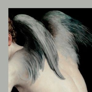 Meet your Posher, Jasper